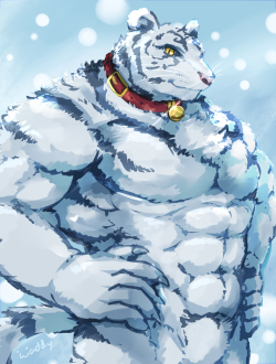 waddledox:  White tiger