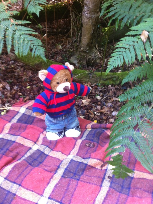 lilscruff:  babyjasonabdl:  JJ bear having a fun adventure too.   I am so jealous of your tee shirt.