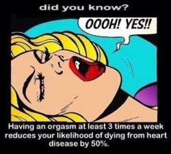 housewifesecrets:  mckenziepr:  well then at last count from