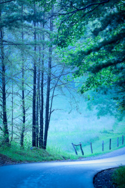 hueandeyephotography:  Curve in the Road, Cades Cove, Great Smoky