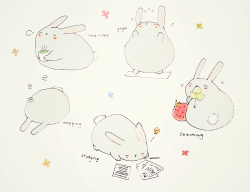 tofuvi:rabbit’s schedule.