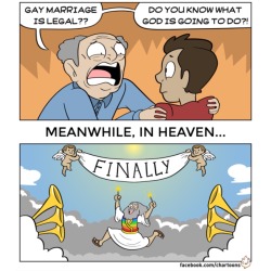 collegehumor:  Gay marriage is legal!!!