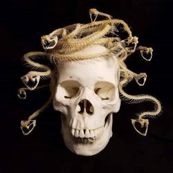 forgottenboneyard:  Medusa’s Skull - Nearly finished, come
