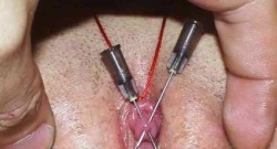 pussymodsgalore  BDSM. Vacuum pumped and tied off clit pierced