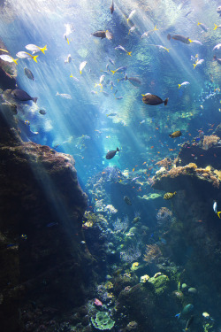 i5x:UnderwaterPosted by i5x