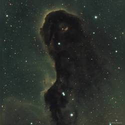 The Dust Monster in IC 1396 #nasa #apod #ic1396 #elephantstrunknebula