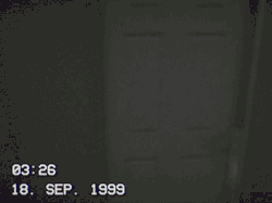 freegameplanet:  SEPTEMBER 1999 is an atmospheric little VHS-styled