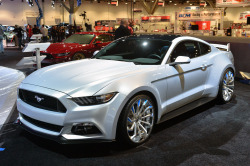 ford-mustang-generation:  Wide Body 2015 Ford Mustang  Hsjjsjsnsbsksnnsndjbdjdjdbdjjdbhusbqilspwmossnsjdnbxidnfodmdkidndlsnsjdknfkfnfl