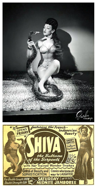 Shiva       aka. “The Sultana of the Serpents”.. Promo photo and vintage newspaper promo ad featuring the snake dancer billed as: “The French-Indonesian Beauty”.. She was represented by the ‘Suey Welch Agency’;