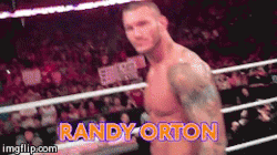 thevipersgirl:  Being in a Ring with Orton and getting a RKO