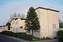 architectureofdoom:  Kapelleveld garden city, Sint-Lambrechts-Woluwe,