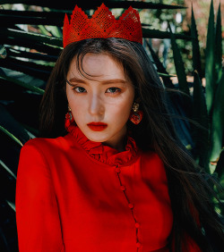 irxne:  perfect velvet teasers: irene feat. seulgi, wendy &amp; joy