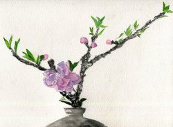 havekat:   What A PeachWatercolor, Gouache and Chinese Ink On