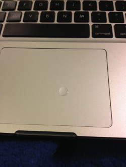 nowhereaddie:  ACTUAL TEAR ON MY TRACKPAD BECAUSE MUSE MUST HATE
