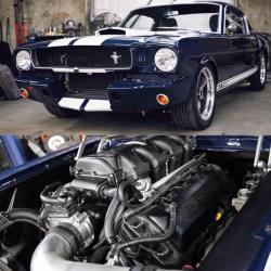 musclefords:  @igfords #ford#Mustang#SVT check out  @AMM_Shirts