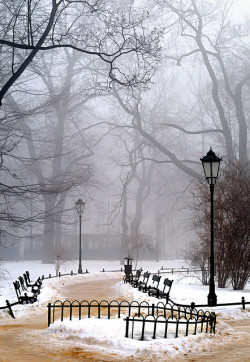 wistfullycountry:  Winter morning fog - Krakow  by sollyth on