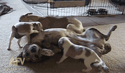 redditfront:  Not a nipple - via http://ift.tt/1PJamuq