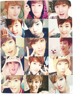 sungyoelz:            8/100 edits/gifs of ukiss | fav selcas