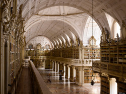 phoebebishopwright:  The library at Mafra National Palace in