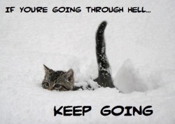 … and keep your tail up!