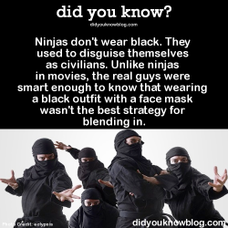 housetohalf:  did-you-kno:  Ninjas don’t wear black. They used