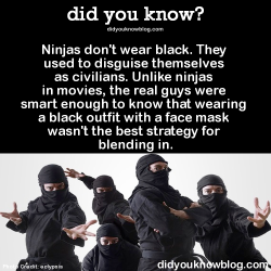 phoenixflorid:  housetohalf:  did-you-kno:  Ninjas don’t wear