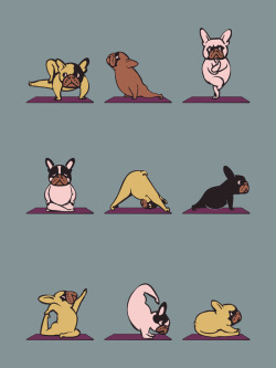 huebucket:  Yoga Collection by Huebucket http://bit.ly/21e2nio