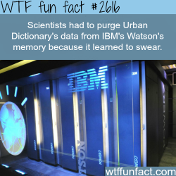 wtf-fun-factss:  IBM’s Watson’s Learning how to swear - WTF