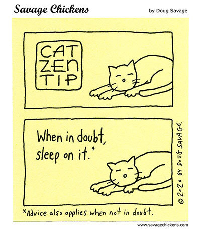 savagechickens:  Cat Zen Tip 6.And more zen.