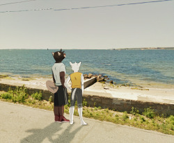 popomodoro:  been thinking about the beachbackgrounds from google maps, east coast shoreline 