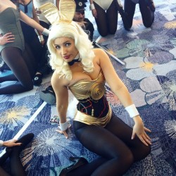 hotcosplaychicks:  birdsofplay:  Threepio bunny at #StarWarsCelebration!