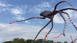 missfluffyfloofs:boredoom:sixpenceee:This giant octopus kite