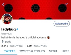 jakcfrost:  🐞 miraculous ladybug social media au 🐞 FANGIRL 