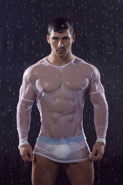 Ripped Gay Muscle