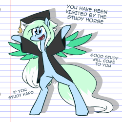 whatsapokemon: Study horse is watching you! Character belongs