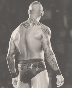 Randy The Viper Orton