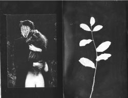 vjeranski:  Laura Makabresku For this darkness which catch to