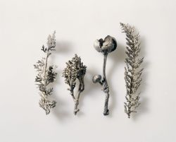 design-is-fine:  Natural Casts of Four Plants, 1540-50.  Silver