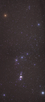 astronomicalwonders:  The Great Nebula in Orion - M42 The Orion