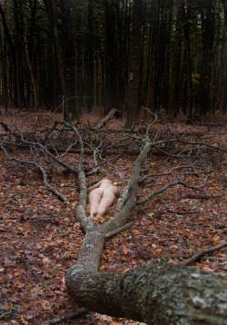 privateinconsistencies:  Meet me in the woods… http://privateinconsistencies.tumblr.com