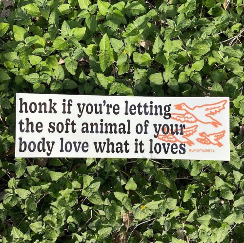 figdays:    Mary Oliver  “Wild Geese” Bumper Sticker // 