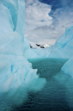 snorl-x:  Iceberg Lagoon 