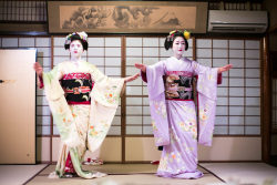 geisha-kai:  October 2014: maiko Kiyono and Katsunosuke dancing