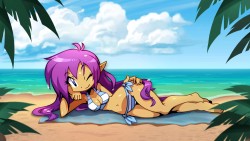 ambris-waifu-hoard: jojosbazaar:  Shantae - Beach Queen  @splat-you