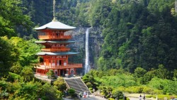 mysecretlife101: sixpenceee:  The Kumano Kodō is a series of