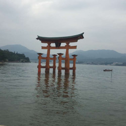 The tides are not joke here.  (at Miyajima)