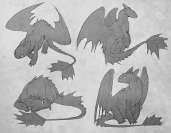 dragodidnothingwrong:  toothless sketches :3 and yes I know one