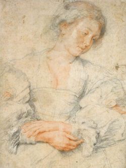 sketchesandstudies:  Peter Paul Rubens    Portrait of a Young