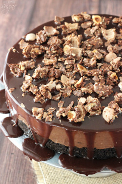 do-not-touch-my-food:    No Bake Nutella Cheesecake   