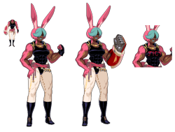 s-purple:Some minor changes were done to Fio , the rabbit girl